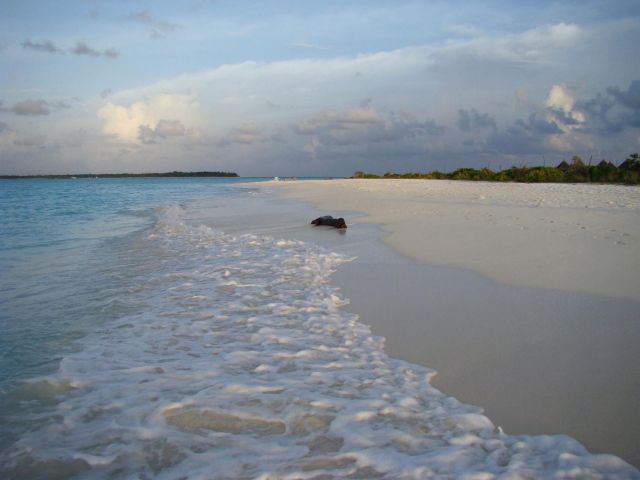 Zdjęcia: Sun Island, Ari Atoll, Malediwy 19, MALEDIWY Zdjęcia: Sun Island, Ari Atoll, Malediwy 19, MALEDIWY