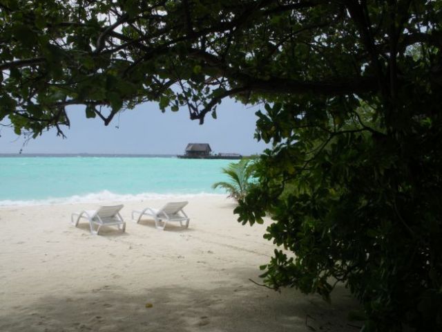 Zdjęcia: Olhuveli Island, Na plaży..., MALEDIWY Zdjęcia: Olhuveli Island, Na plaży..., MALEDIWY