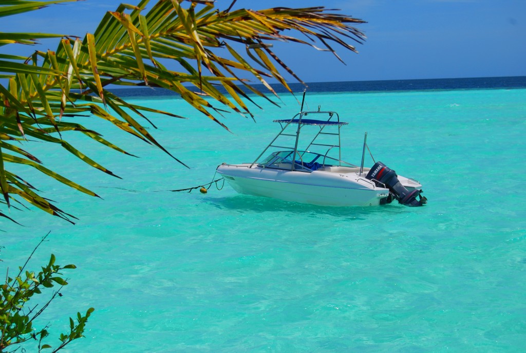Zdjęcia: Poludniowy atol, Olhuveli , ChillOut:!EH!, MALEDIWY Zdjęcia: Poludniowy atol, Olhuveli , ChillOut:!EH!, MALEDIWY