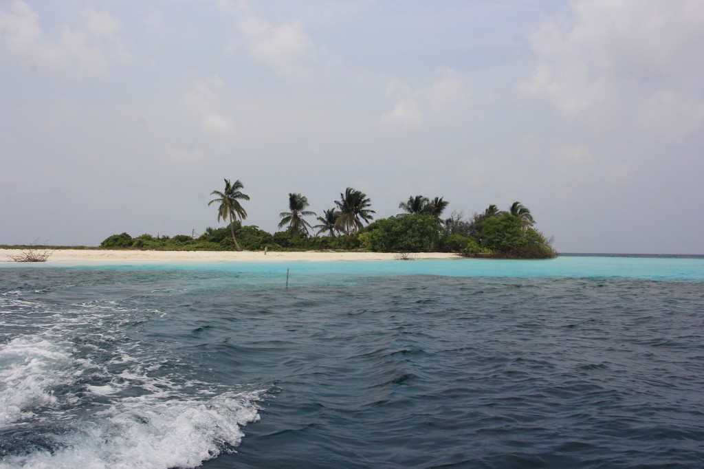 Zdjęcia: Omadhoo, Atol Ari, Podróż na własną rękę, MALEDIWY Zdjęcia: Omadhoo, Atol Ari, Podróż na własną rękę, MALEDIWY