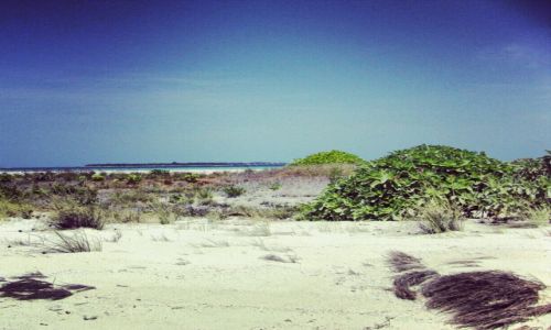 Zdjecie MALEDIWY / Hirundhoo / near Hirundhoo / Sandbank