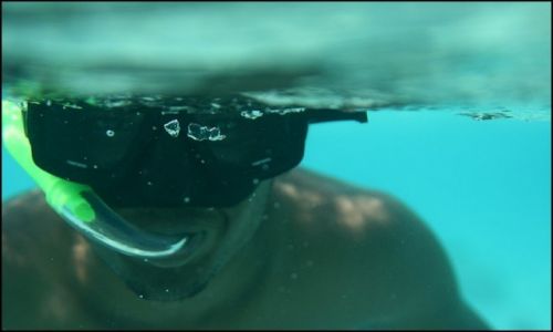 Zdjęcie MALEDIWY / Maafushi / pod wodą /  To można robić