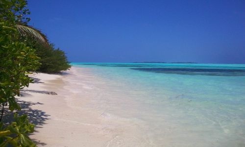 Zdjecie MALEDIWY / ocean indyjski / picnic island / Rajskie Malediwy