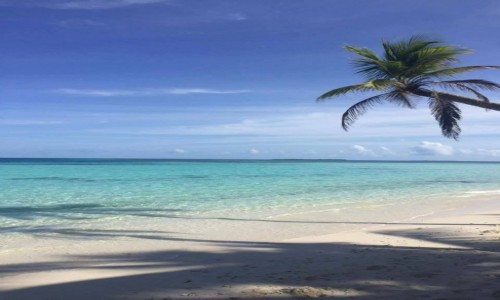 Zdjcie MALEDIWY / Origami Inn / Hilhamndhoo / Rajska plaa:)