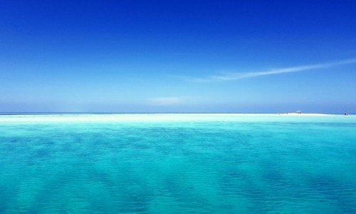 Zdjecie MALEDIWY / Kaafu Atol / Dhiffushi / Sandbank