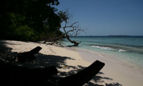 Zdjecie MALEDIWY / brak / Wyspa Biyadhoo / Plaza