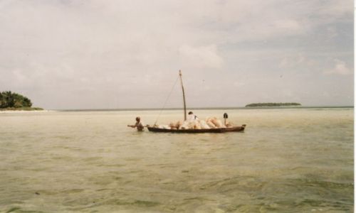 Zdjęcie MALEDIWY / - / Guraidhoo Poludnowy Atol Male / Tak wyglada transport na Malediwach