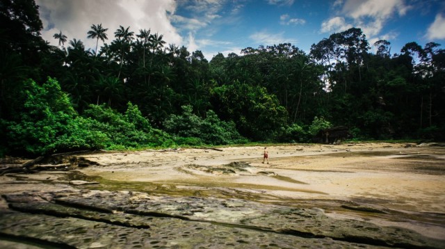 Zdj cia: Bako, Borneo, Galeria testowa - wgrywanie zdjc do artykuu. , MALEZJA