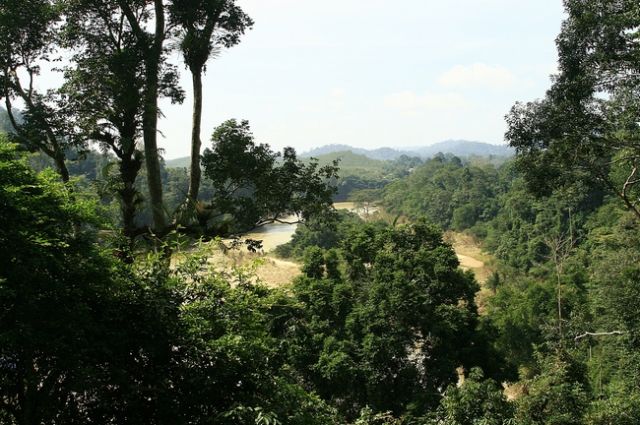 Zdjęcia: Taman Negara, ------, MALEZJA Zdjęcia: Taman Negara, ------, MALEZJA