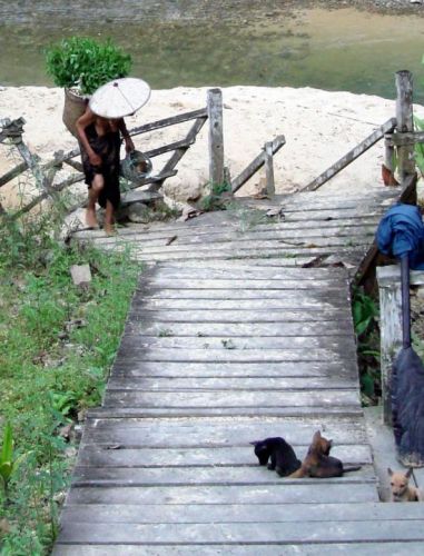 Zdjęcia: Mejong, Betong /Sarawak, Borneo/, Iban Woman part 1, MALEZJA Zdjęcia: Mejong, Betong /Sarawak, Borneo/, Iban Woman part 1, MALEZJA