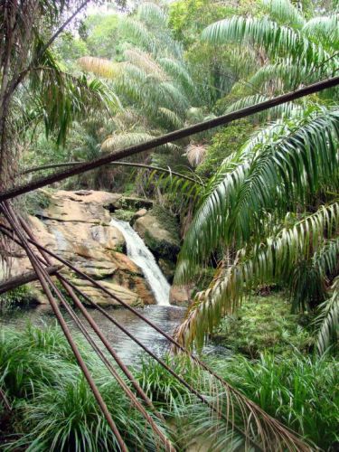 Zdjęcia: Bako National Park, Sarawak, Tajor Waterfall, MALEZJA Zdjęcia: Bako National Park, Sarawak, Tajor Waterfall, MALEZJA