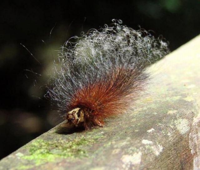 Zdjęcia: Gunung Mulu National Park, Sarawak, ..., MALEZJA Zdjęcia: Gunung Mulu National Park, Sarawak, ..., MALEZJA