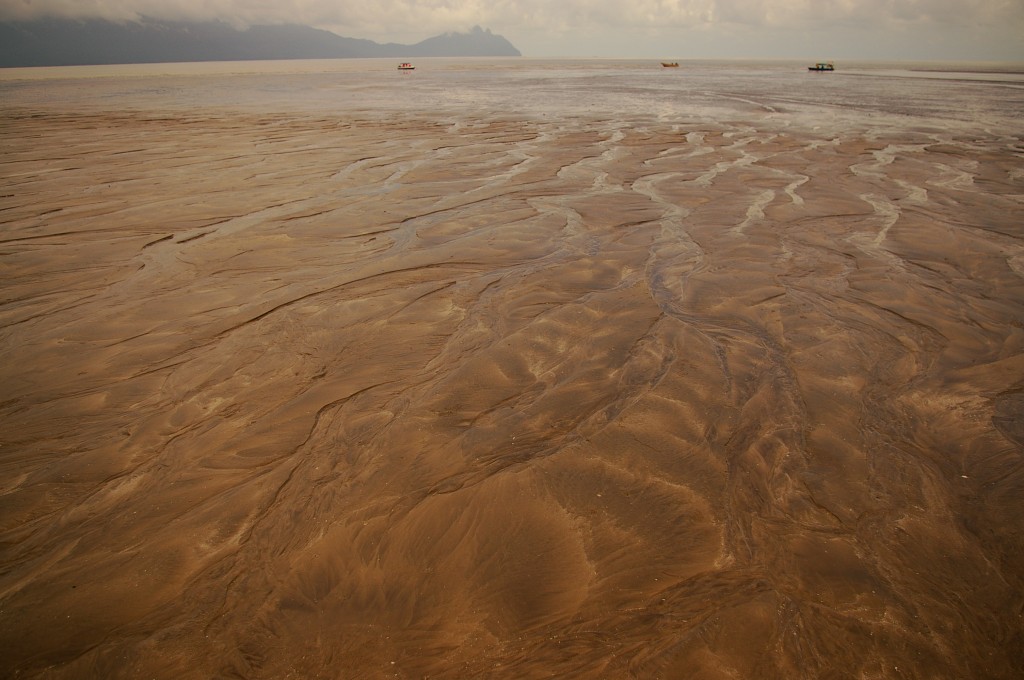 Zdjęcia: Bako NP, Borneo, Sarawak, Odpływ, MALEZJA Zdjęcia: Bako NP, Borneo, Sarawak, Odpływ, MALEZJA