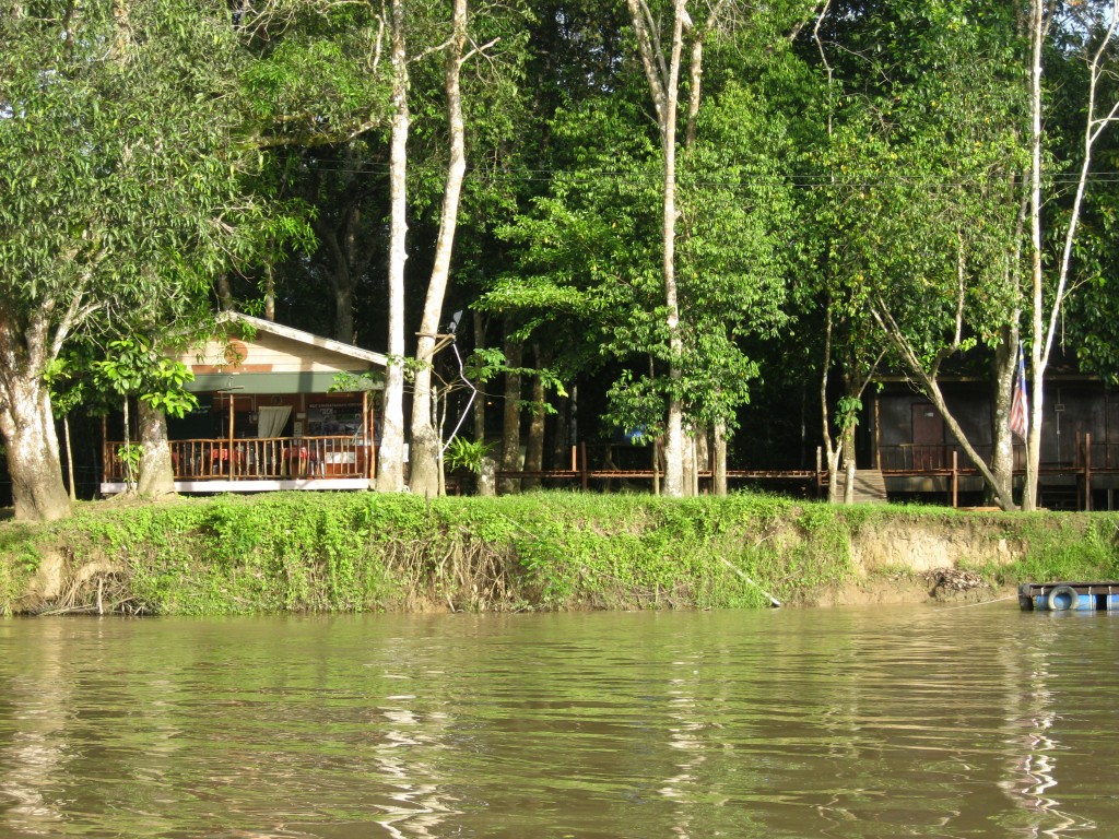 Zdjęcia: Kinabatangan River, Borneo, Lodge, MALEZJA Zdjęcia: Kinabatangan River, Borneo, Lodge, MALEZJA