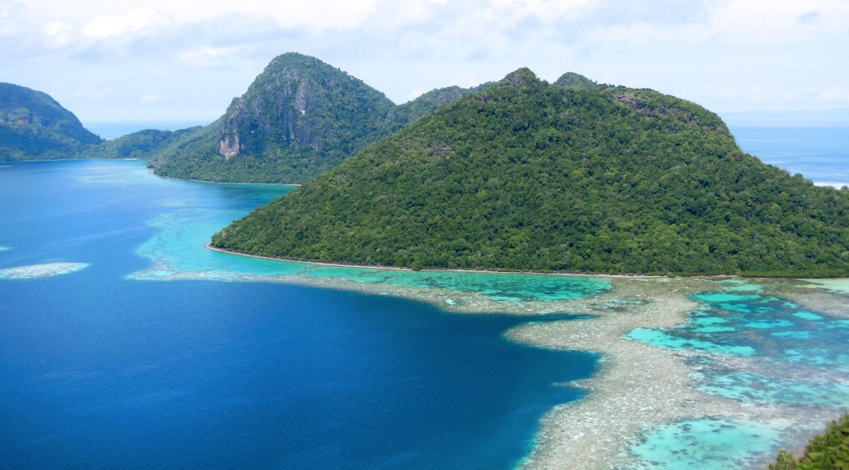 Zdjęcia: Pulau Bodgaya, Borneo, Borneo, MALEZJA Zdjęcia: Pulau Bodgaya, Borneo, Borneo, MALEZJA