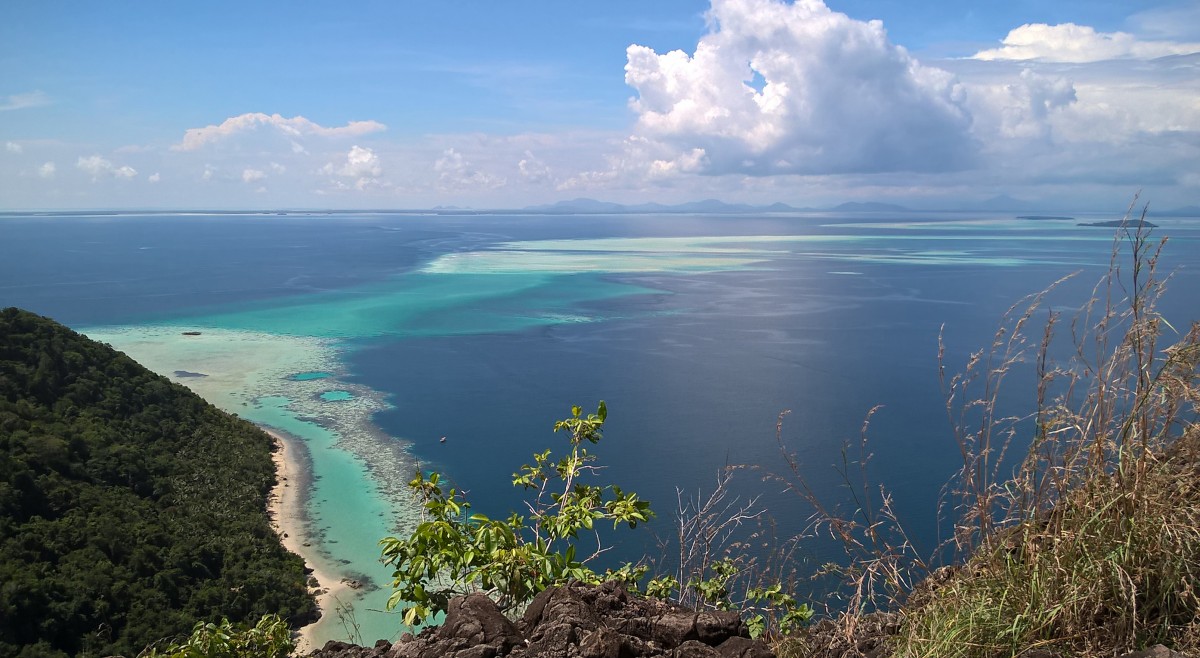 Zdjęcia: Pulau Bodgaya, Borneo, Borneo Palau Bodgaya, MALEZJA Zdjęcia: Pulau Bodgaya, Borneo, Borneo Palau Bodgaya, MALEZJA