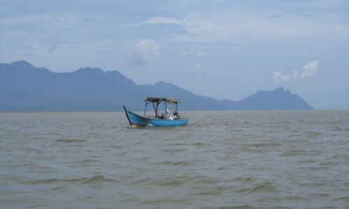 Zdjęcie MALEZJA / Borneo / Bako National Park / ...