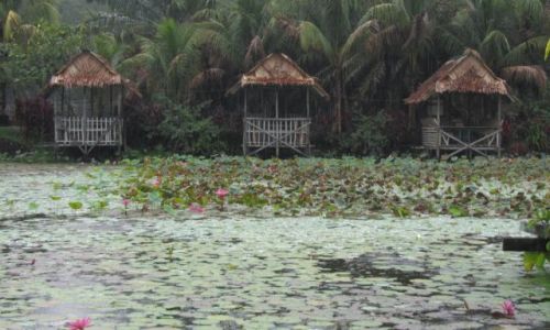 Zdjęcie MALEZJA / Borneo / okolice Kuching / deszczowy poranek
