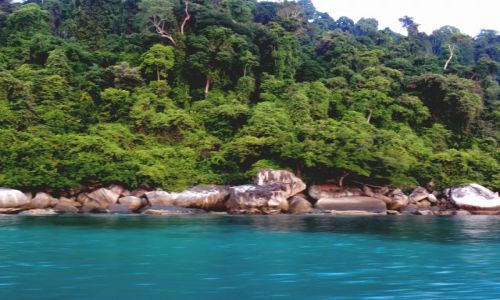 Zdjcie MALEZJA / Tioman / pn wybrzeze / na skraju dunglii..