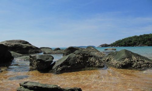 Zdjcie MALEZJA / Wyspa Tioman / Monkey Bay / Na play