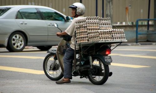 Zdjecie MALEZJA / - / Penang / Uwaga jajka wioze! (Penang, Malaysia)