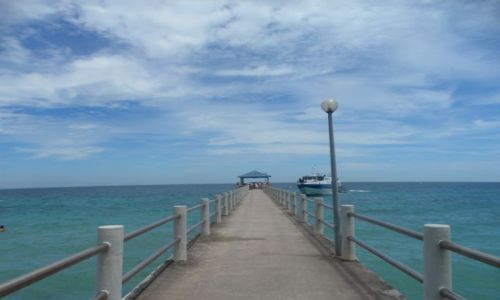 Zdjecie MALEZJA / Tioman Island / Tioman Island / Tioman