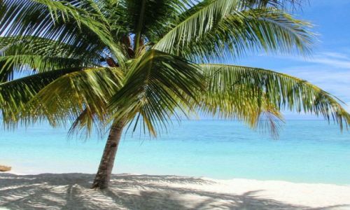 Zdjęcie MALEZJA / BORNEO / MABUL / RAJ