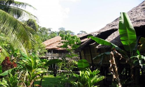 Zdjcie MALEZJA / Borneo /   / Chaty plemienia Bidayuh