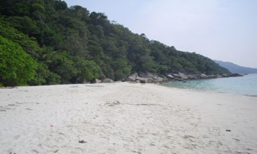 Zdjcie MALEZJA / PERHENTIAN BESAR / TURTTLE POINT / 