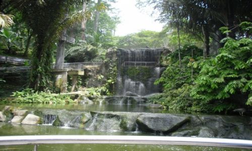 Zdjęcie MALEZJA / KUALA LUMPUR / BIRD PARK  / BIRD PARK
