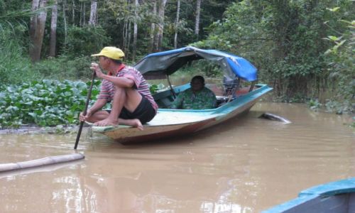 Zdjcie MALEZJA / Borneo / Kinabatangan River / Spotkanie na rzece