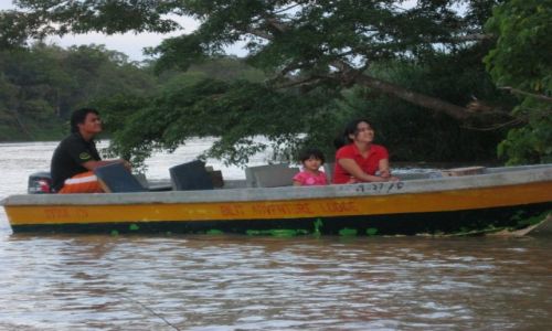 Zdjcie MALEZJA / Borneo / Kinabatangan River / Wszyscy kochaja slonie