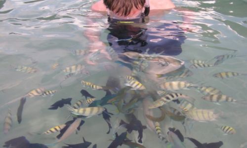 Zdjecie MALEZJA / Tioman / Malezja, Tioman Island / Azja