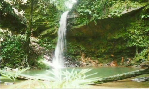 Zdj�cie MALEZJA / Sarawak / Lambir Hills NP / Wodospad Lambir Hills II