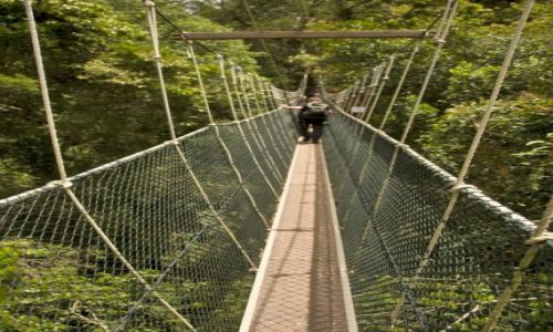 Zdjęcie MALEZJA / Taman Negara / Canopy Walkway / Spacer wśród drzew