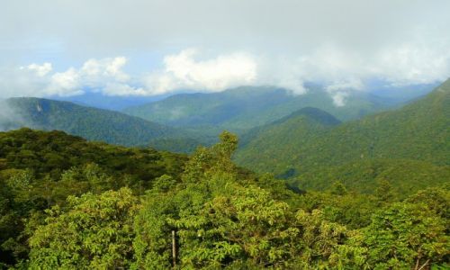 Zdjęcie MALEZJA / Cameron Highlands / Gunung Brinchang / Dżungla po horyzont