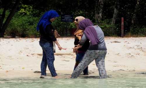 Zdjcie MALEZJA / archipelag Langkawi / jedna z wysp / Zdjcie na fejsa