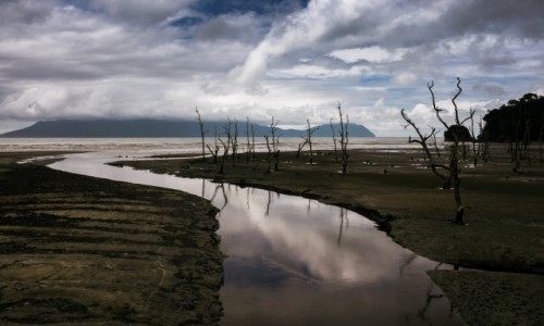 Zdjecie MALEZJA / Borneo / Bako / Galeria testowa - wgrywanie zdjc do artykuu. 