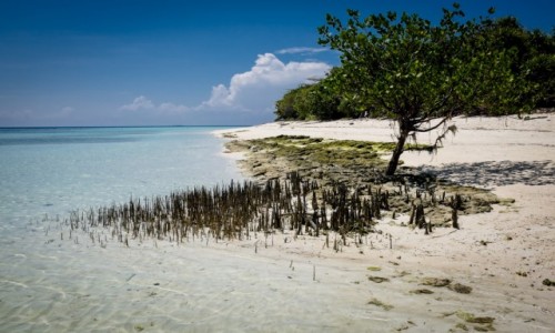 MALEZJA / Borneo / Borneo / Galeria zdj pod artyku 