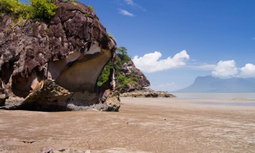 Zdjecie MALEZJA / Borneo / NP Bako / Telok Assam
