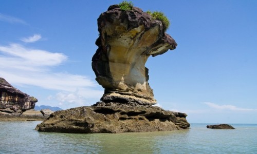 Zdjecie MALEZJA / Borneo / NP Bako / Skaka