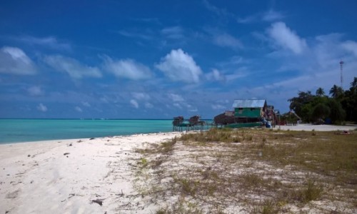 Zdjęcie MALEZJA / Borneo / Pulau Sibuan / Borneo Sibuan