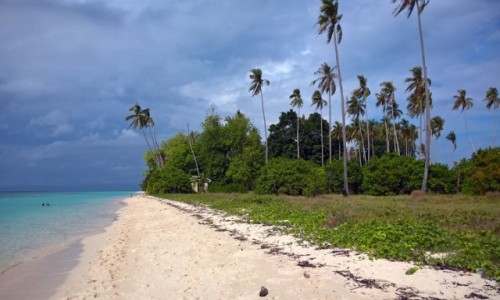 Zdjęcie MALEZJA / - / Pulau Sibuan / Borneo, Sibuan