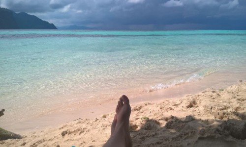 Zdjęcie MALEZJA / - / Pulau Sibuan / Borneo, Sibuan