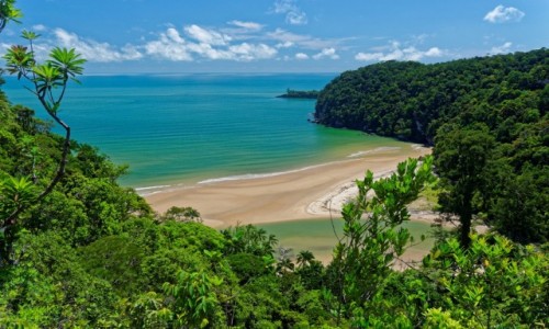 Zdjecie MALEZJA / Borneo / Bako National Park / Dzika plaa