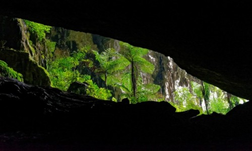 Zdjcie MALEZJA / Borneo / Mulu National Park / 