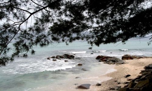 Zdjęcie MALEZJA / kota kinabalu/borneo / Park Narodowy im. Rahmana / Manukan