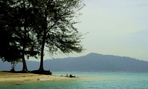 Zdjęcie MALEZJA / kota kinabalu/borneo / Park Narodowy im. Rahmana / Wyspa Mamutik