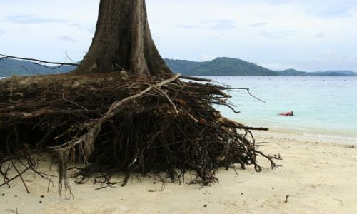 Zdjęcie MALEZJA / brak / Kota Kinabalu/Borneo / Mamutik