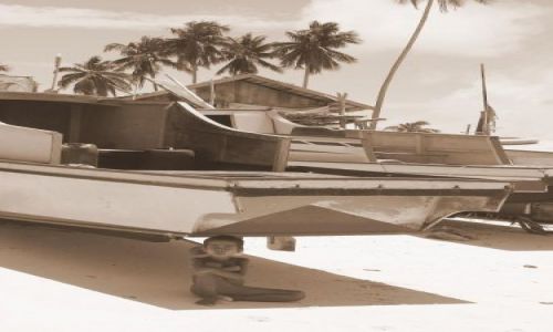 Zdjęcie MALEZJA / brak / Mabul / ...